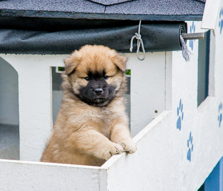 5.Juni 2014 (7-Woche)