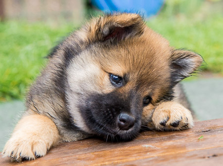 5.Juni 2014 (7-Woche)