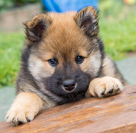 5.Juni 2014 (7-Woche)