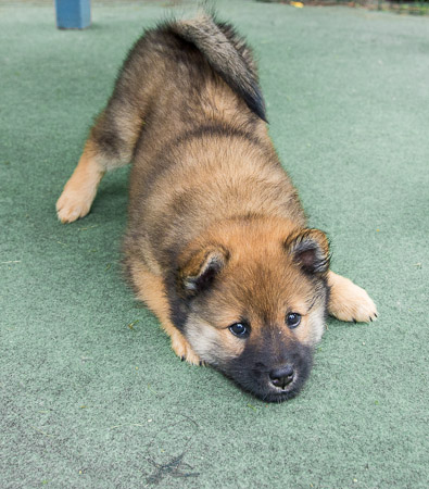 5.Juni 2014 (7-Woche)