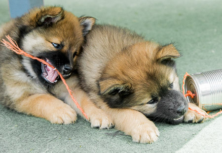 5.Juni 2014 (7-Woche)