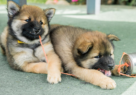 5.Juni 2014 (7-Woche)