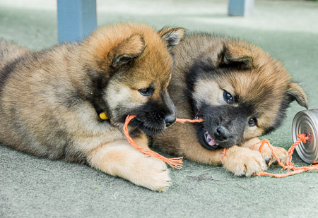 5.Juni 2014 (7-Woche)