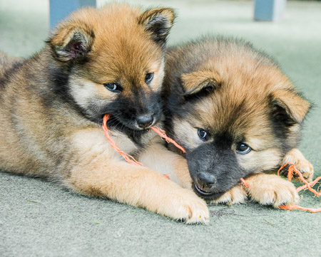 5.Juni 2014 (7-Woche)