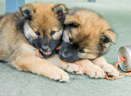 5.Juni 2014 (7-Woche)