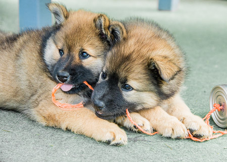 5.Juni 2014 (7-Woche)