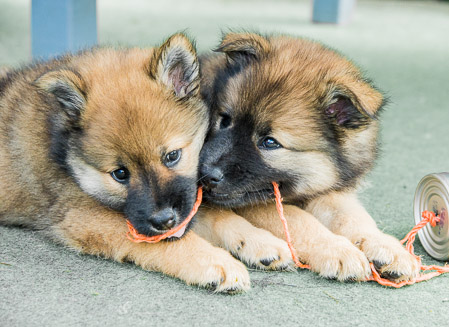 5.Juni 2014 (7-Woche)