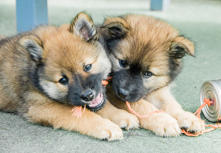 5.Juni 2014 (7-Woche)