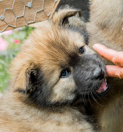 5.Juni 2014 (7-Woche)