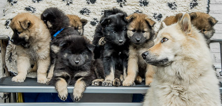 5.Juni 2014 (7-Woche)