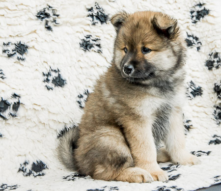 5.Juni 2014 (7-Woche)