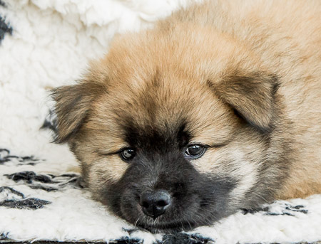 5.Juni 2014 (7-Woche)