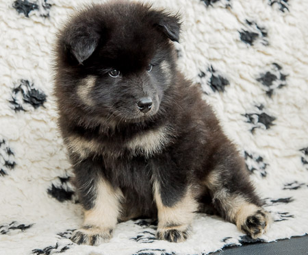 5.Juni 2014 (7-Woche)