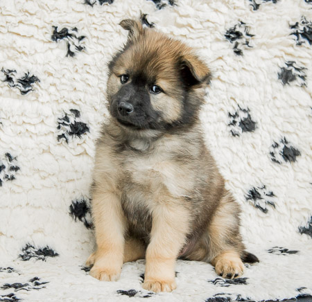 5.Juni 2014 (7-Woche)