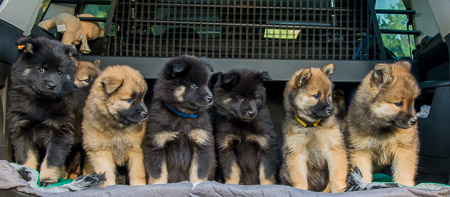 5.Juni 2014 (7-Woche)