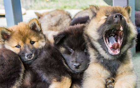 12.Juni 2014 (8.Woche)