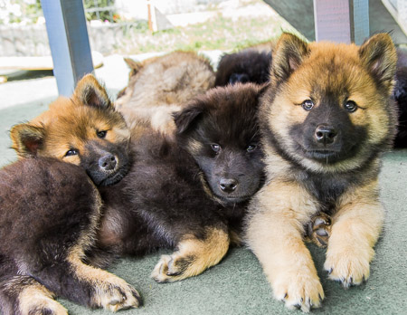 12.Juni 2014 (8.Woche)