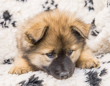 12.Juni 2014 (8.Woche)