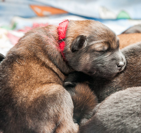 24.April 2014 (1.Woche)